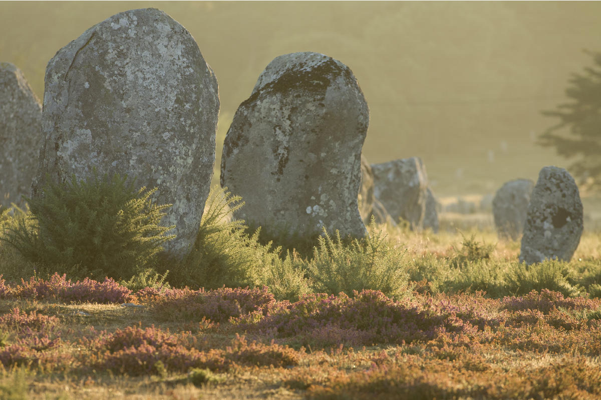 Menhir, archaeological remains in Carnac Dolmen-in-Carnac